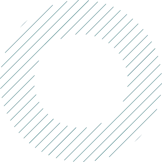 Ren Portbitnex - Exploring the Journey Behind Ren Portbitnex